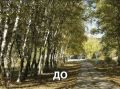 «До/После»! Центральный парк в селе Камень-Рыболов