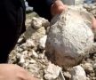 � ����������� ����� �� ����� ��������� ����������� ����� ����������� ���������, ������� �������� � ����� 47 ��������� ���