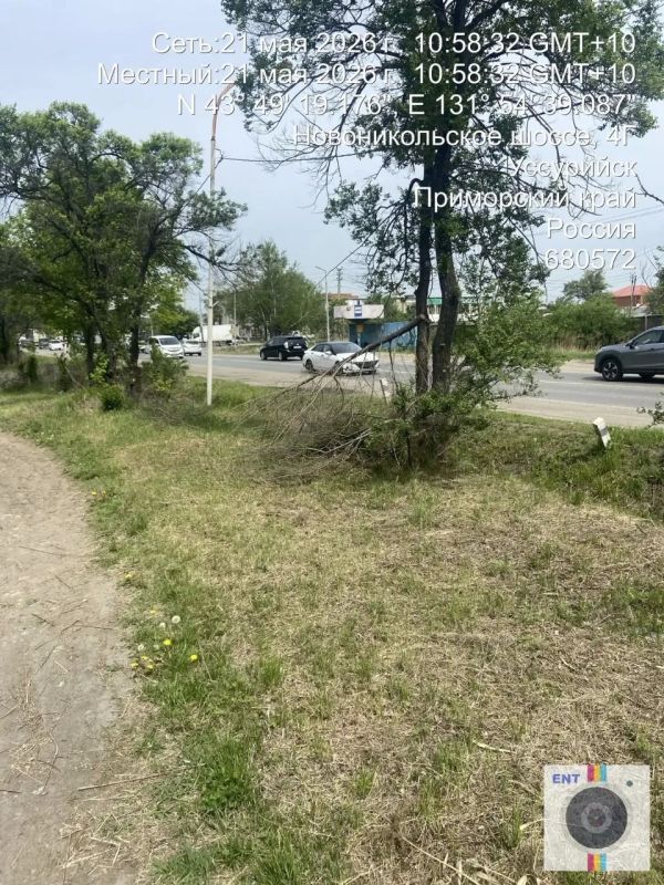 Чистота и порядок: в Уссурийске выкашивают траву Чистота и порядок: в Уссурийске выкашивают траву