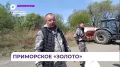 На полях Уссурийского округа тестируют новый сорт сои отечественной селекции