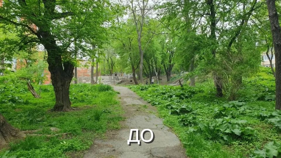 «До/После»! Сквер имени Кутузова во Владивостоке «До/После»! Сквер имени Кутузова во Владивостоке