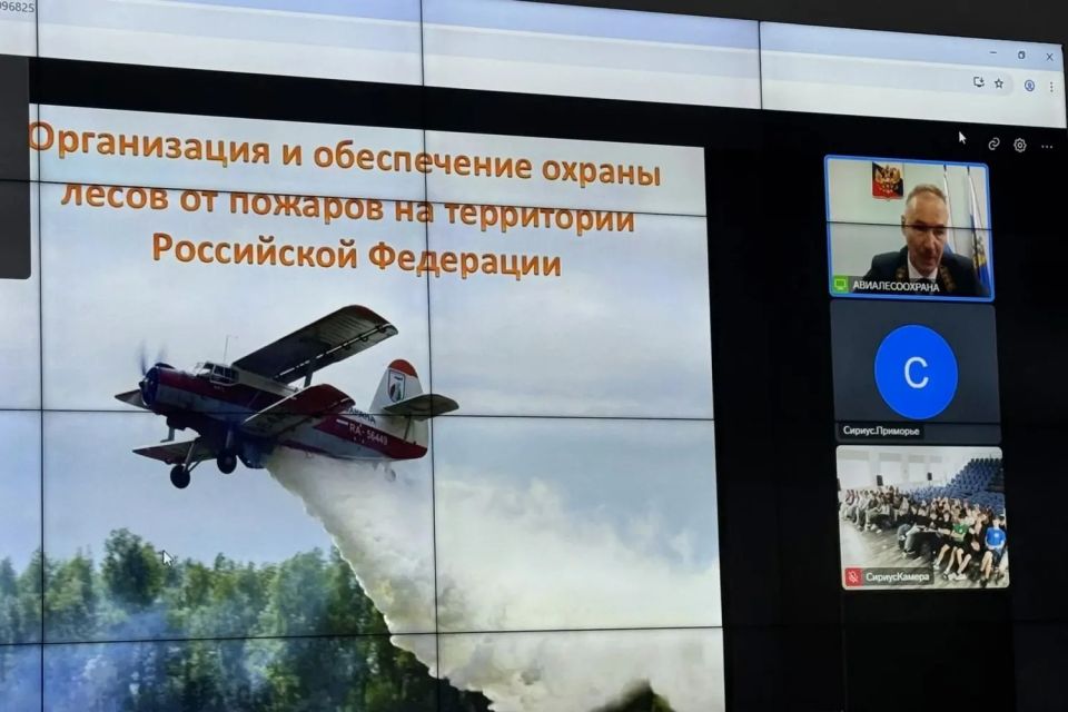 Как устроена система охраны лесов России: в «Сириус Как устроена система охраны лесов России: в «Сириус