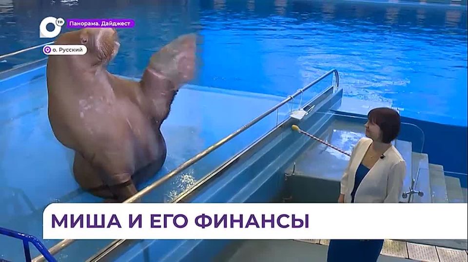 В Приморском океанариуме провели квиз по финансовой грамотности