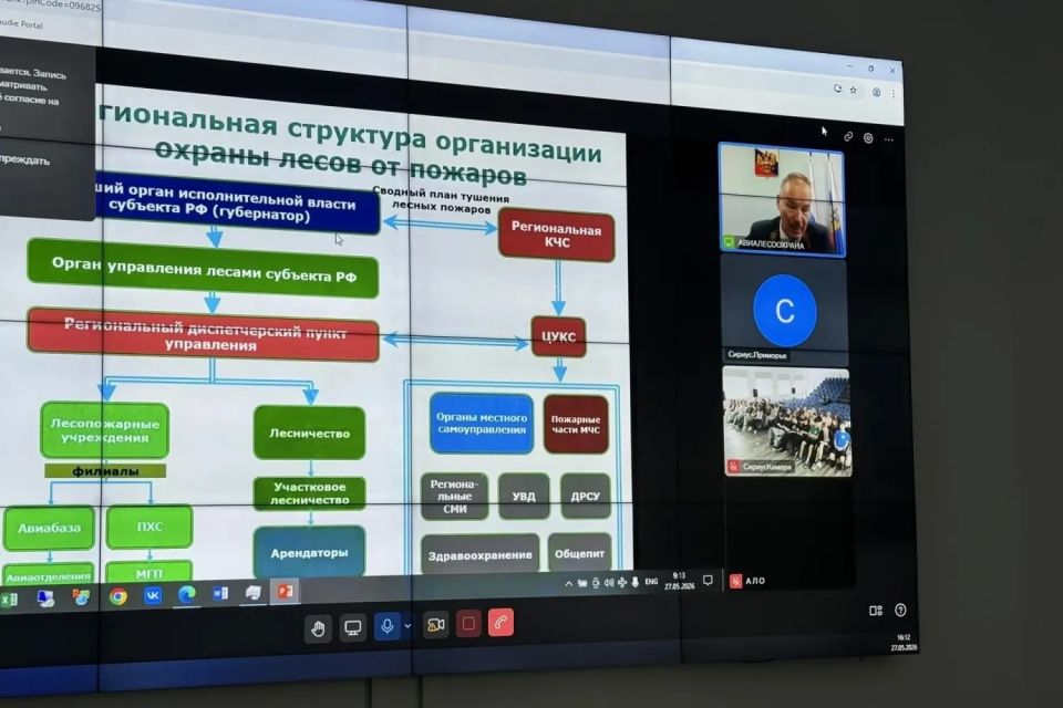 Как устроена система охраны лесов России: в «Сириус Как устроена система охраны лесов России: в «Сириус