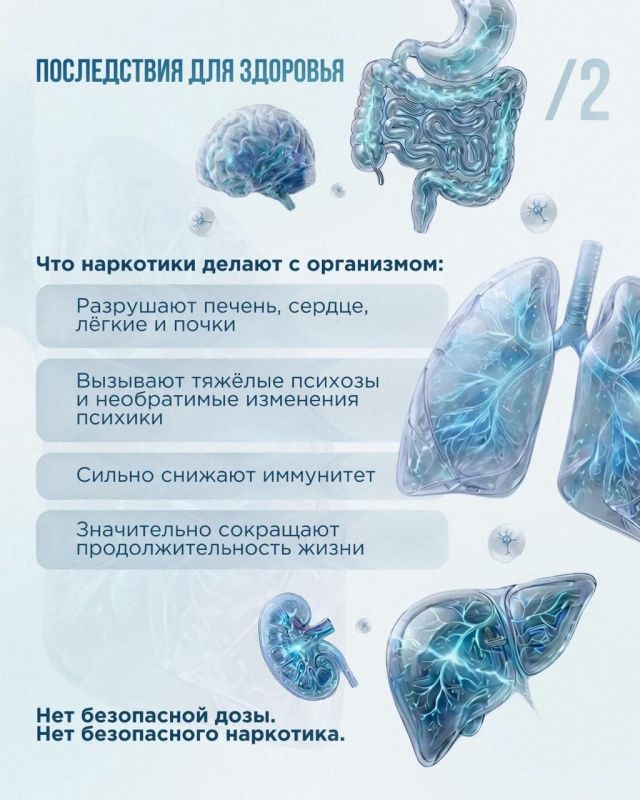 С 29 мая по 29 июня 2026 года в Приморском крае проходит месячник антинаркотической направленности С 29 мая по 29 июня 2026 года в Приморском крае проходит месячник антинаркотической направленности