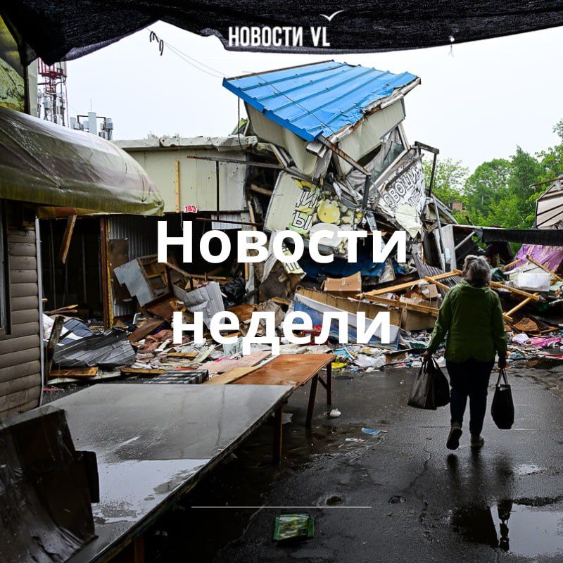 Материалы недели от Новостей VL, которые вы могли пропустить: