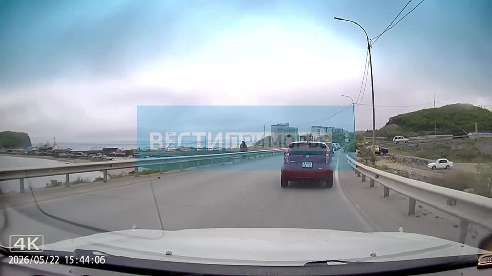 Во Владивостоке сотрудники Госавтоинспекции привлекли к ответственности героя видеозаписи из MAX-канала «Вести Приморье»