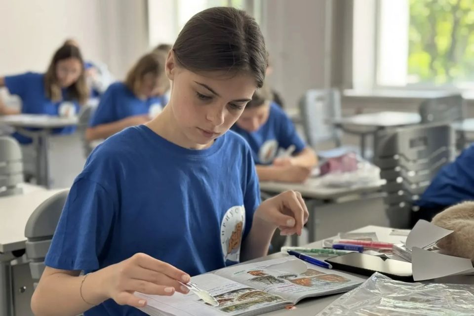 Как устроена система охраны лесов России: в «Сириус Как устроена система охраны лесов России: в «Сириус