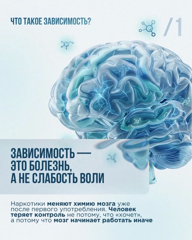 С 29 мая по 29 июня 2026 года в Приморском крае проходит месячник антинаркотической направленности С 29 мая по 29 июня 2026 года в Приморском крае проходит месячник антинаркотической направленности
