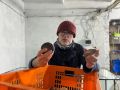 Идём на север! Три дня господдержки для бизнеса Приморья бесплатно!