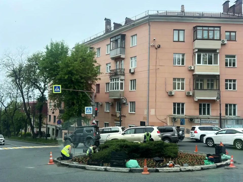 Делимся некоторыми итогами работы МКУ «Зелёный Владивосток» за минувшую неделю Делимся некоторыми итогами работы МКУ «Зелёный Владивосток» за минувшую неделю