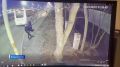 Профессиональный праздник отметили инспекторы по делам несовершеннолетних