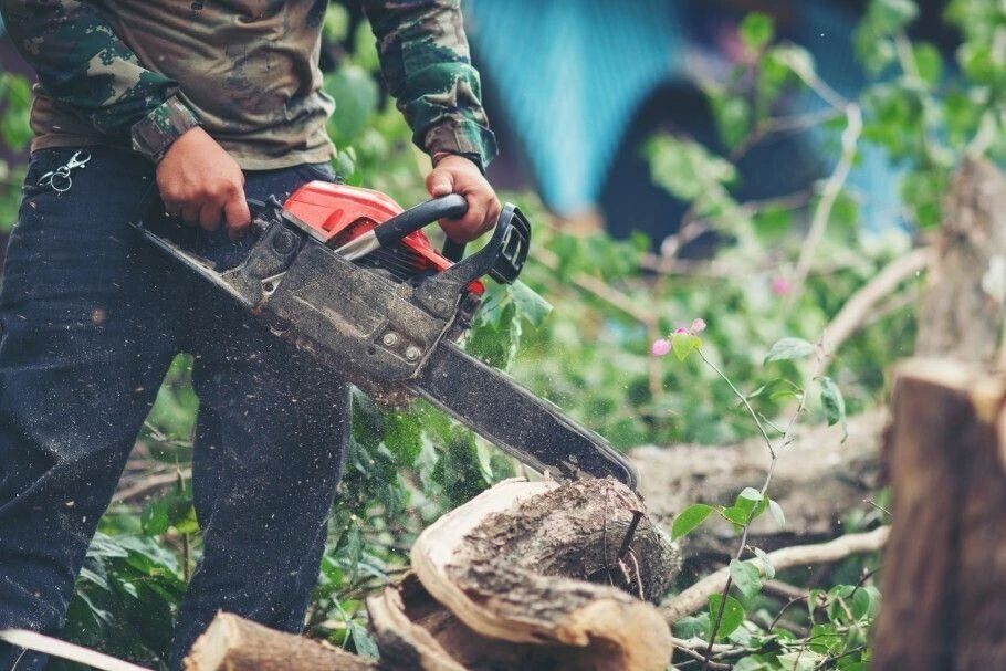Уважаемые жители и гости Уссурийска