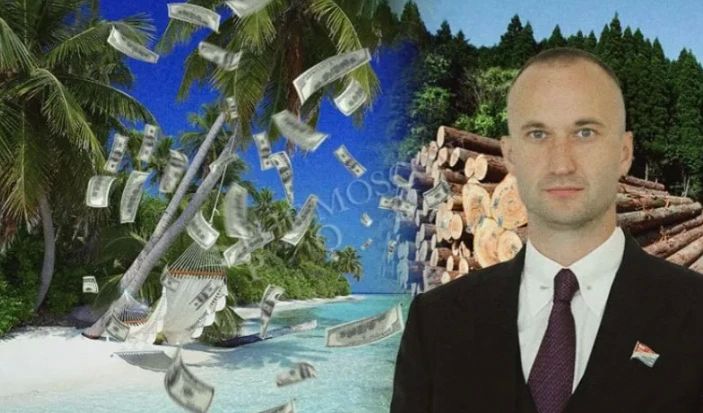 Русский лес — в Китай, бывшего депутата — в розыск