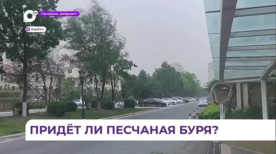 В Приморье объявлены даты штормового предупреждения