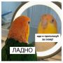 Меньше недели осталось до конца голосования за благоустройство общественных пространств