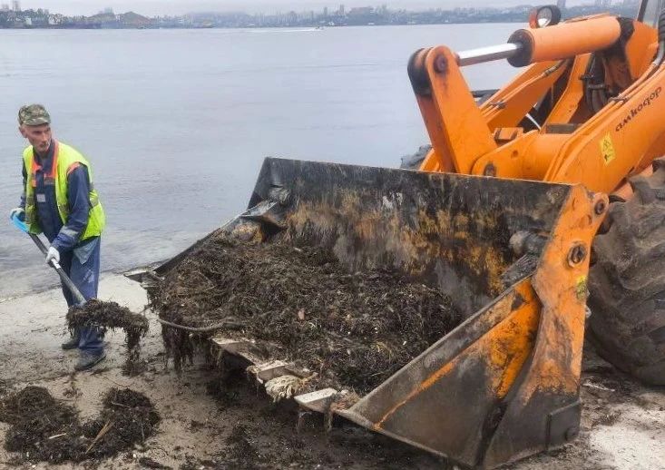 Во Владивостоке наводят порядок на пляжах Во Владивостоке наводят порядок на пляжах