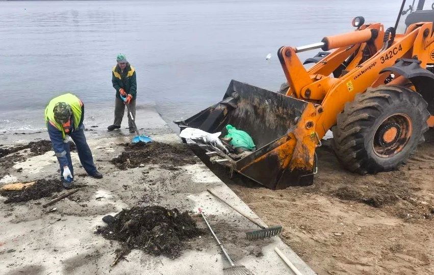 Во Владивостоке наводят порядок на пляжах Во Владивостоке наводят порядок на пляжах