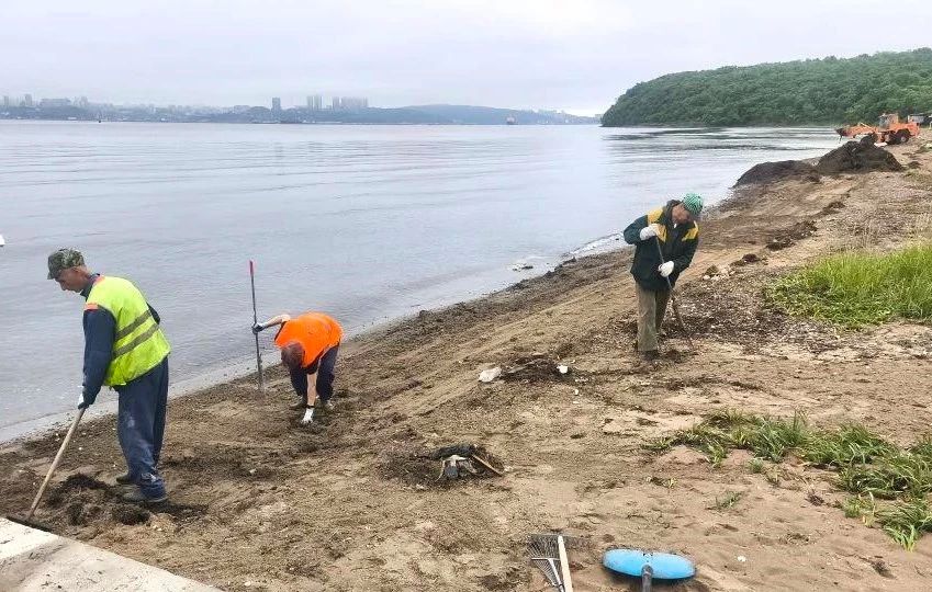 Во Владивостоке наводят порядок на пляжах Во Владивостоке наводят порядок на пляжах