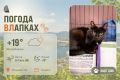 #ПогодаВЛапках. Малооблачно