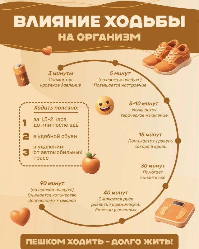 #ЗДОРОВЬЕ_СГТ | Физическая активность – ключевой фактор здоровья! #ЗДОРОВЬЕ_СГТ | Физическая активность – ключевой фактор здоровья!