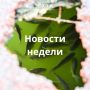 Материалы недели от Новостей VL, которые вы могли пропустить: