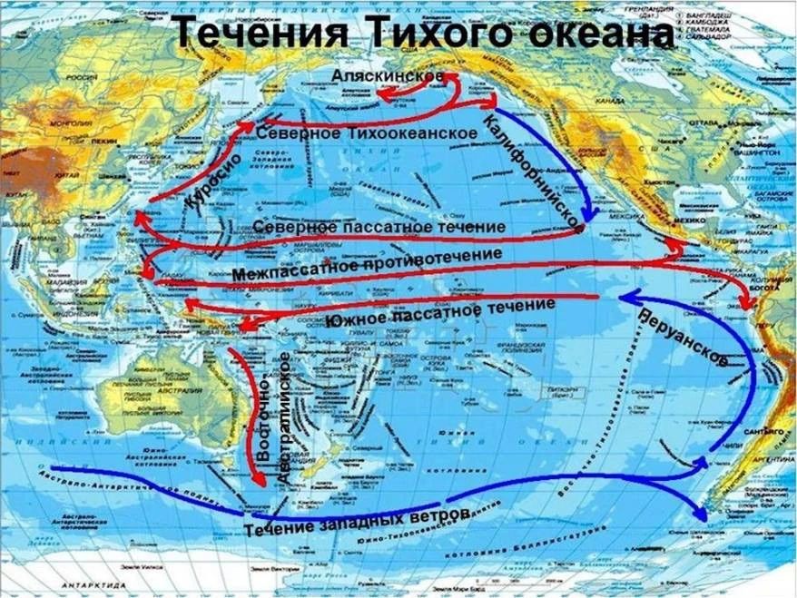 Планетарное явление Эль-Ниньо окажет влияние на погоду в Приморье летом 2026-го