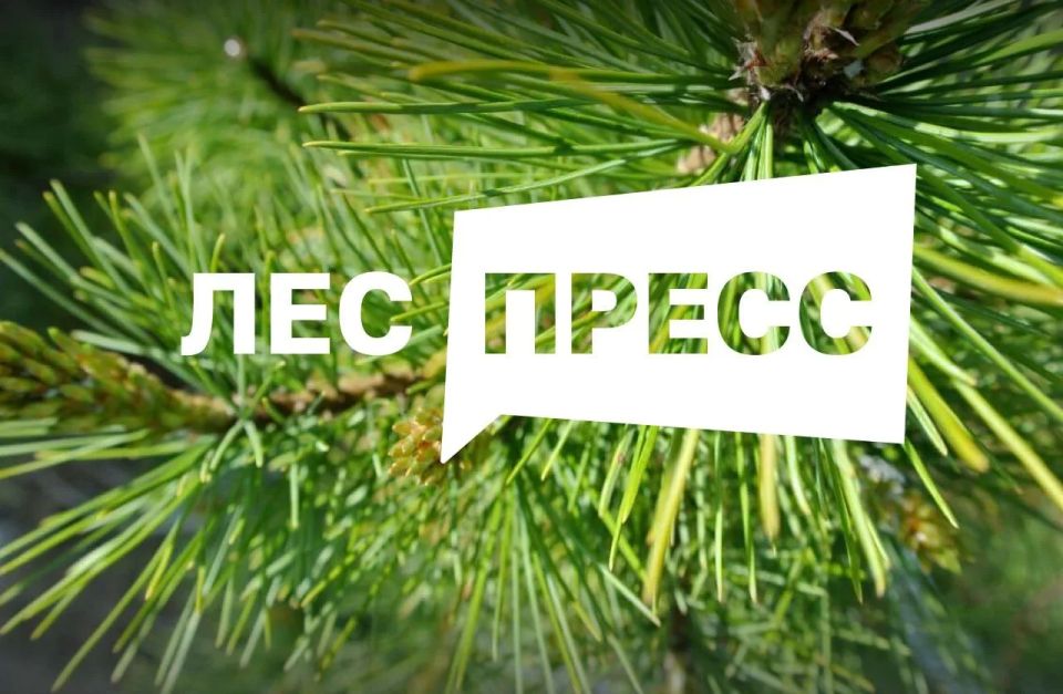 Журналистам и блогерам Приморья