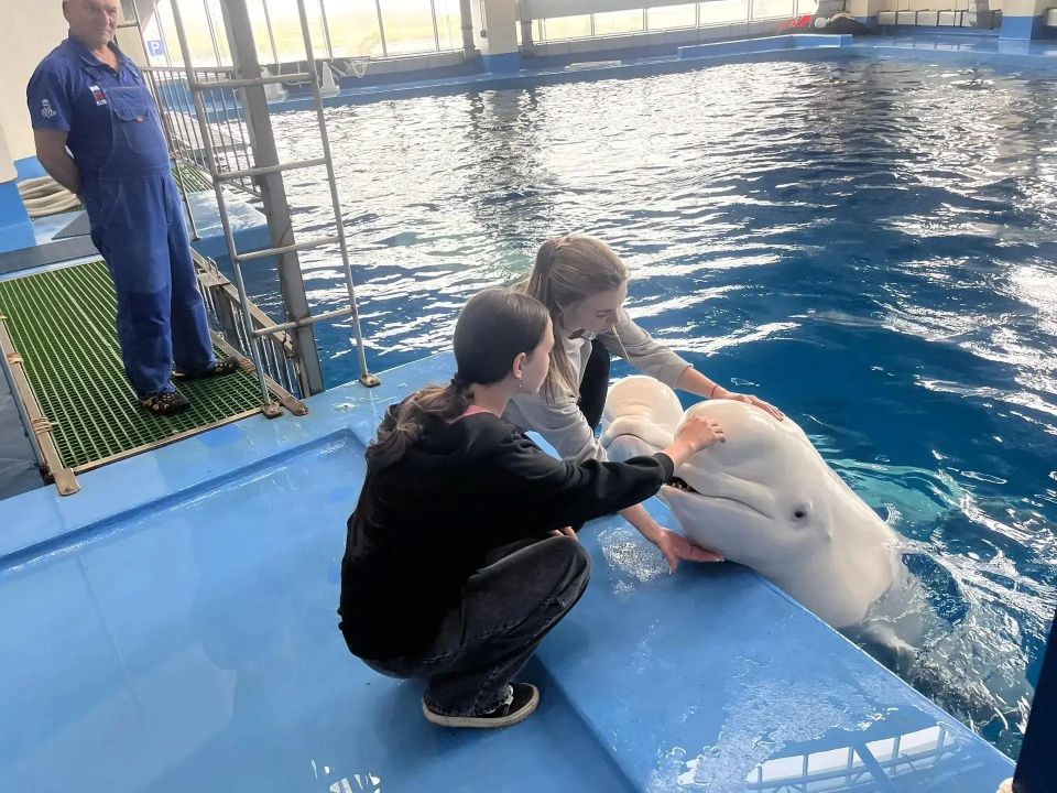 Морской конкурс, который стал настоящим приключением Морской конкурс, который стал настоящим приключением