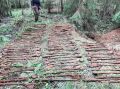 Огромный тайник с оружием времён Второй мировой войны найден в Финляндии с помощью металлоискателей