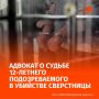 "12-летний подросток не уйдет от ответственности, но и в колонию не попадет": возраст уголовной ответственности за убийство наступает с 14 лет, а потому действия ребенка не могут быть квалифицированы как "преступление" в...
