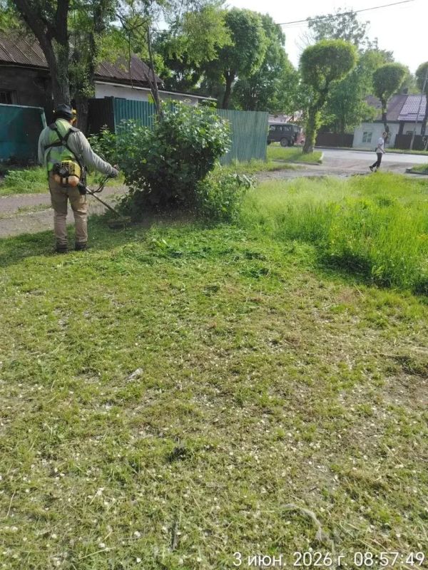Убрано, вывезено, скошено: что сделано за две недели Убрано, вывезено, скошено: что сделано за две недели