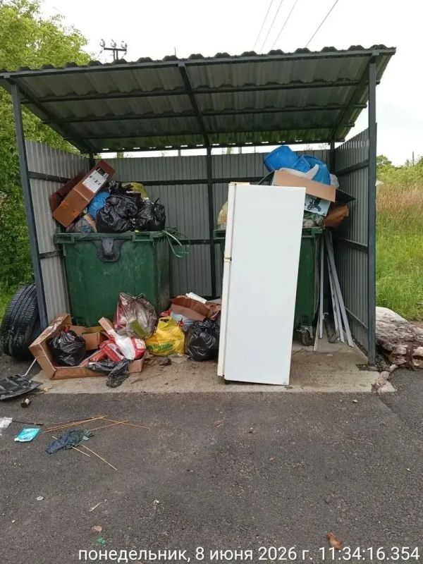 Убрано, вывезено, скошено: что сделано за две недели Убрано, вывезено, скошено: что сделано за две недели