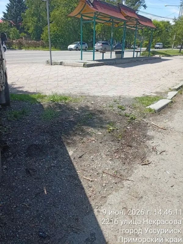 Убрано, вывезено, скошено: что сделано за две недели Убрано, вывезено, скошено: что сделано за две недели