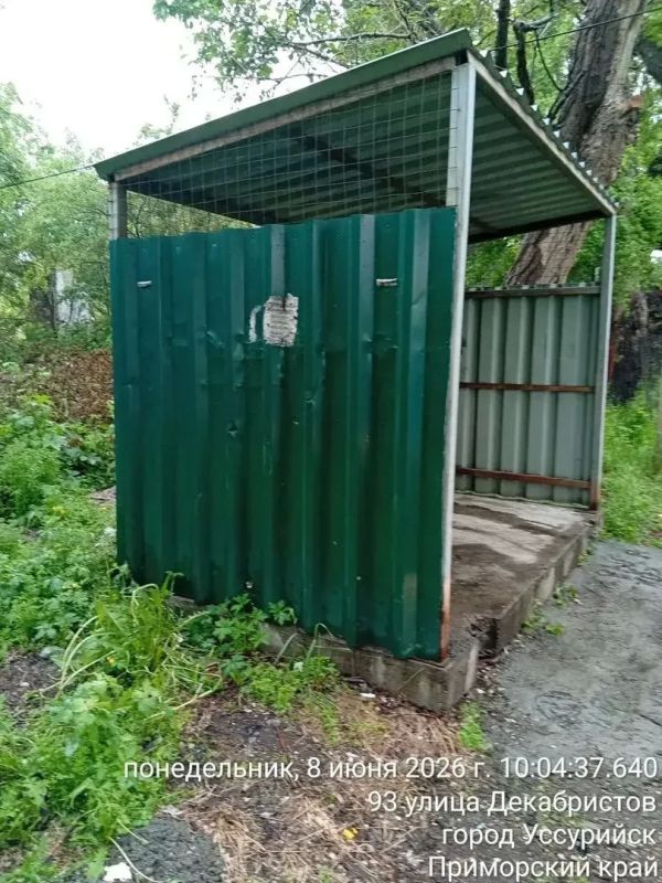 Убрано, вывезено, скошено: что сделано за две недели Убрано, вывезено, скошено: что сделано за две недели