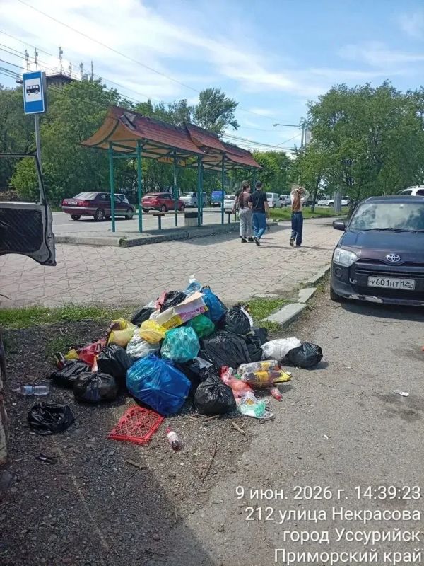 Убрано, вывезено, скошено: что сделано за две недели Убрано, вывезено, скошено: что сделано за две недели