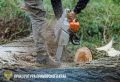 � ������������ ������� �������� �� ���������� ���� � ���������� ����� ������ ���������� ���������� ����� 1 �������� ������