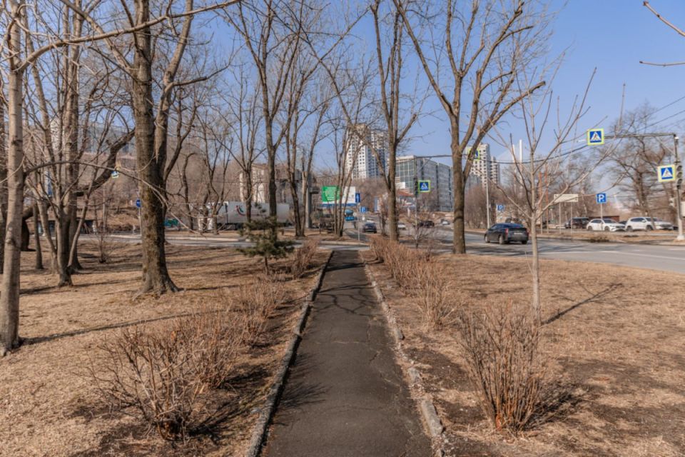 Среди победителей голосования по благоустройству территорий Владивостока оказались сквер на Чайке и Нескучный сад – активисты подозревают накрутку голосов Среди победителей голосования по благоустройству территорий Владивостока оказались сквер на Чайке и Нескучный сад – активисты подозревают накрутку голосов