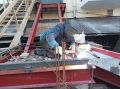 Самые высокие зарплаты в Приморье предлагают геологам и сварщикам