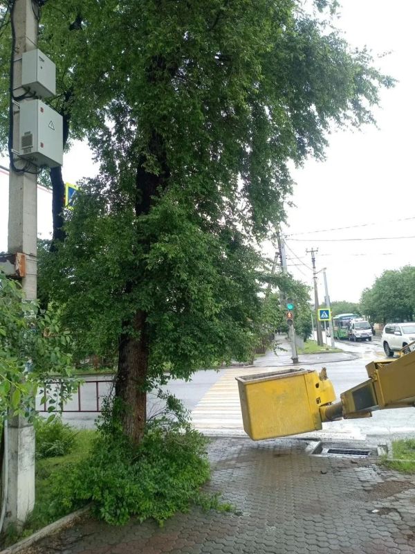 В Уссурийске приводят в порядок зеленые насаждения В Уссурийске приводят в порядок зеленые насаждения