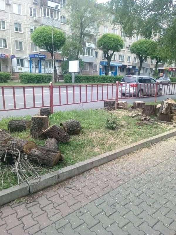 В Уссурийске приводят в порядок зеленые насаждения В Уссурийске приводят в порядок зеленые насаждения