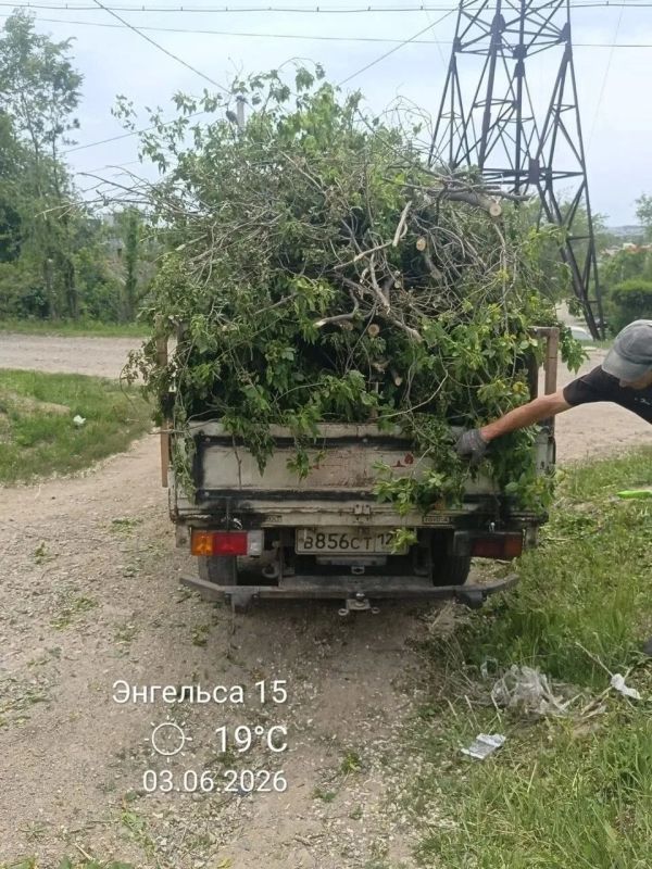 В Уссурийске приводят в порядок зеленые насаждения В Уссурийске приводят в порядок зеленые насаждения