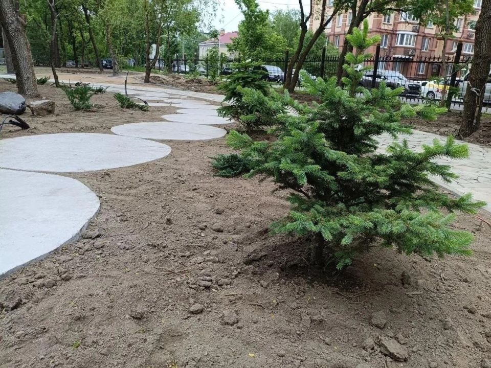 Евгений Корж: В Городском парке сейчас идёт активная фаза благоустройства Евгений Корж: В Городском парке сейчас идёт активная фаза благоустройства
