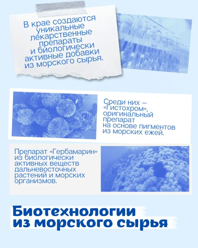 Тихоокеанский форпост науки и дружбы Тихоокеанский форпост науки и дружбы