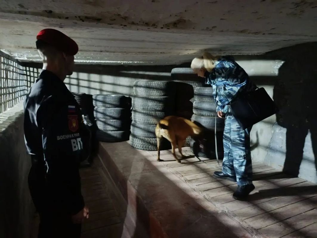 Кинологи Владивостокской транспортной полиции присоединились к всеармейскому месячнику противодействия наркомании в Вооруженных силах РФ