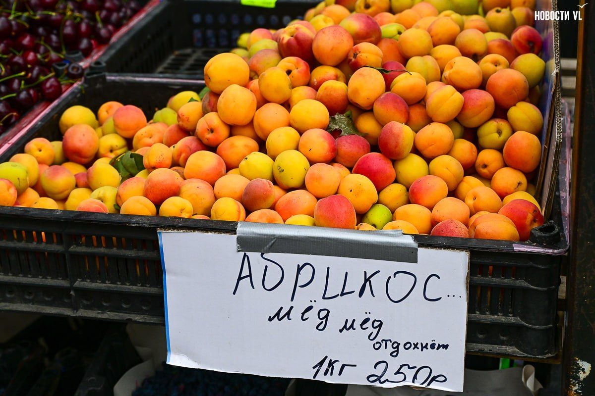 Очень-очень вкусная клубника, черешня без косточки и абрикосы «мёд отдохнёт»: рынки Владивостока запестрели свежими фруктами и ягодами Очень-очень вкусная клубника, черешня без косточки и абрикосы «мёд отдохнёт»: рынки Владивостока запестрели свежими фруктами и ягодами