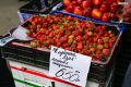 Очень-очень вкусная клубника, черешня без косточки и абрикосы «мёд отдохнёт»: рынки Владивостока запестрели свежими фруктами и ягодами