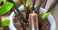 ������������ ��������� ��� �������������: ���� ����� ��������� �������� ������ �� ��� ������