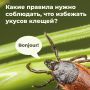����� �� �������: ��� �������� ���� � �����