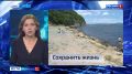 ������� �������� �������. �������������� ����� ��� �������� �� ���������� "������" � 21:10, ����� ����� ������������ ������� "������"
